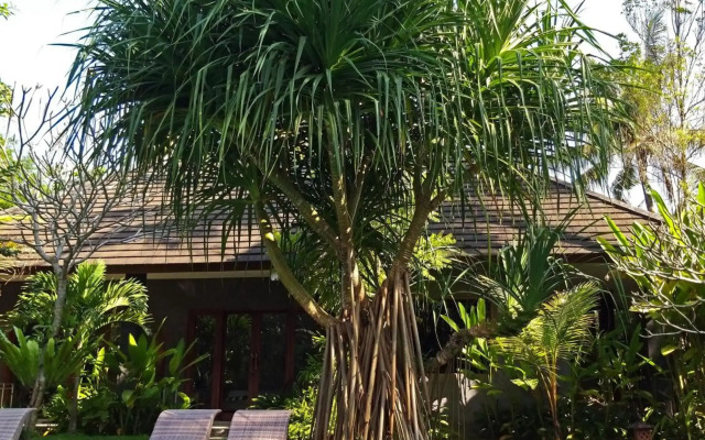 ZEN Rooms Jukut Paku Village