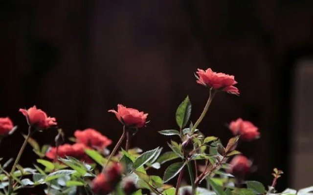 Bahao Bieyuan Boutique Inn