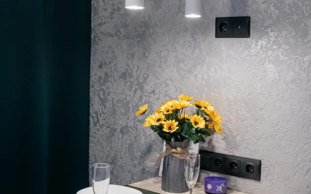 Апартаменты на улице Володарского 13