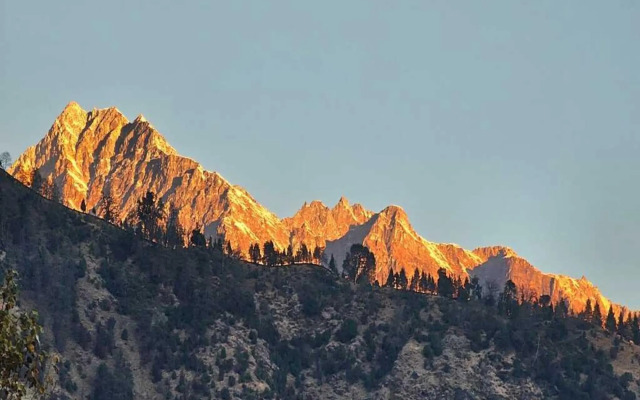 Hotel Pandey Lodge