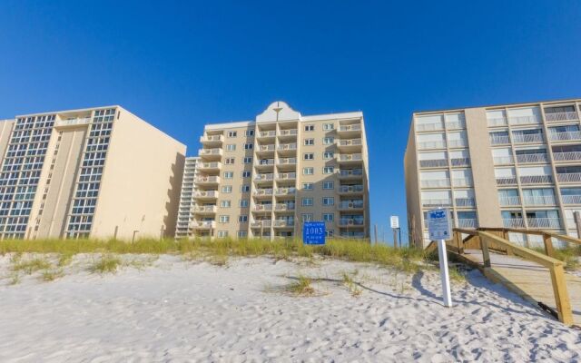 Tropical Winds by Hosteeva