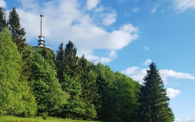 Lenzenhof anno 1720 I