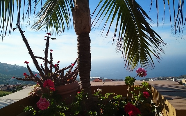 Apartamentos Estrella del Norte