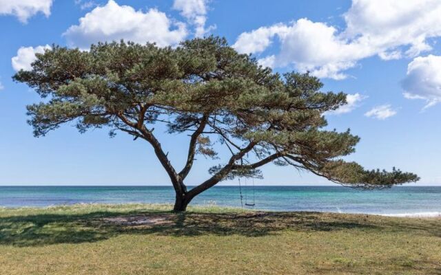 "Nayeli" - 20m from the sea in Bornholm