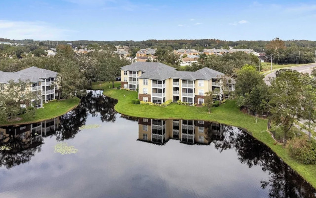 The Urban Oasis Serene Views!