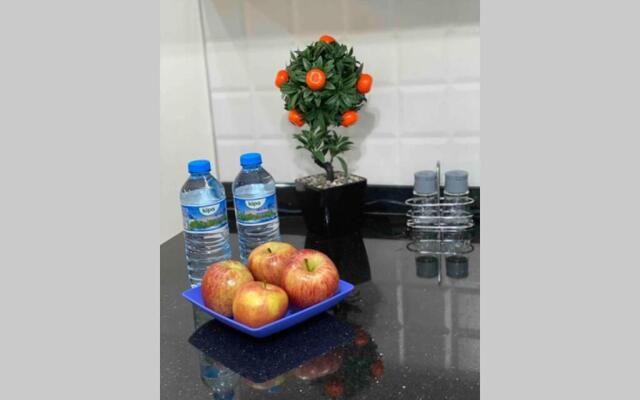 1+1 new cozy apartment in the Center of Alanya.