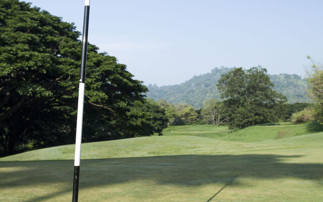 The Albatross, Kandy