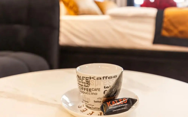 Apartment in Szczecin With Pool and Terrace