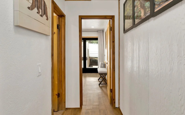 Bear Forest Cabin #2553