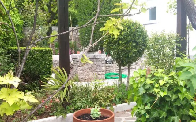 Apartments Jovic 377