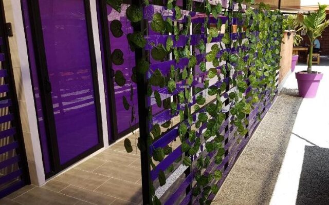 Purple Monkey Hostel