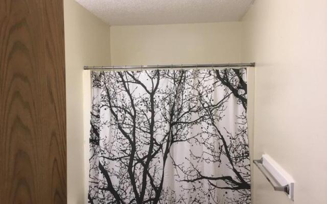 Fully furnished two bedroom apartment