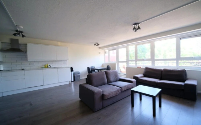 Spacious 3 Bedroom Apartment in Battersea With Terrace