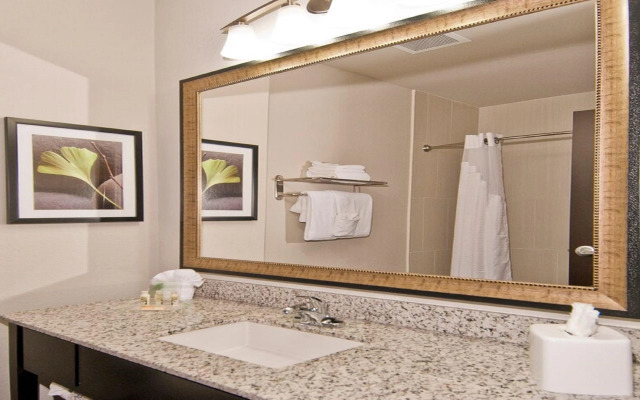 Holiday Inn Austin Airport by IHG