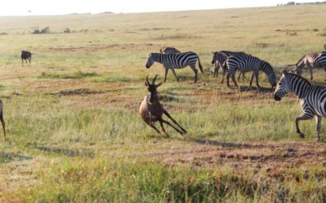 Olumara Tented Camp