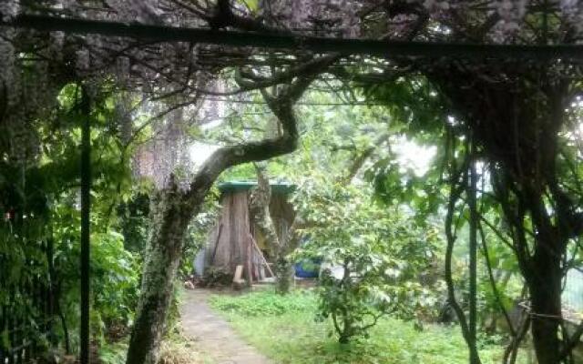 Casa Bartolacci Cozy Apartment (Near Florence City Center)