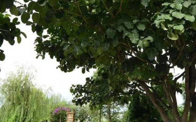 No.3 Wharf- Yifangzhai Hotel