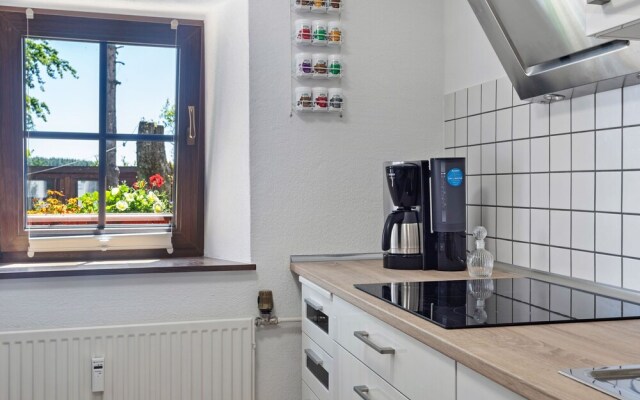 Amazing Holiday Home in Plütscheid with Garden