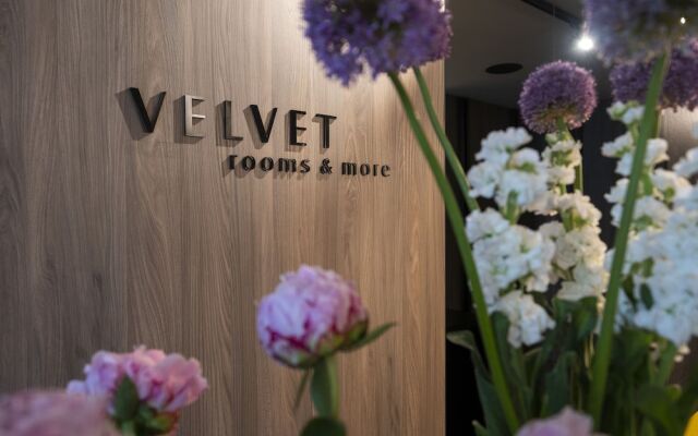 Velvet rooms & more