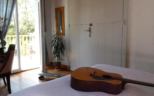 Shifting Sands Surf Camp
