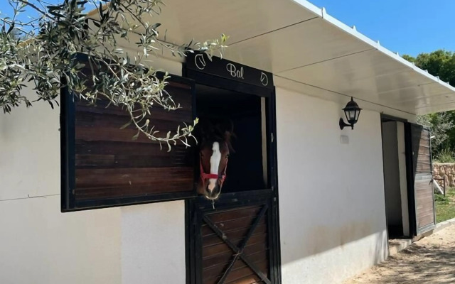 Turnabogazi Ciftlik Evleri