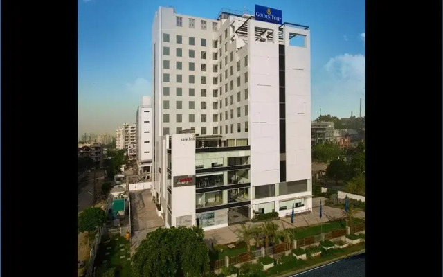Golden Tulip