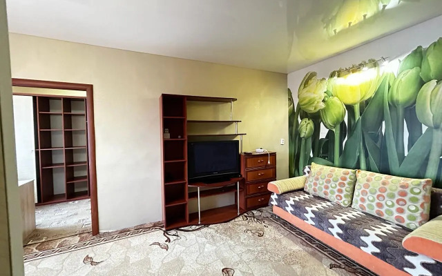 Apartments on the territory of Oktyabrsky gorodok 1/110 - Apartment in Kazan - Photo 3