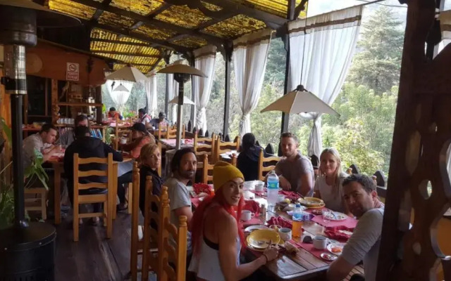 Altai Oasis Eco lodge