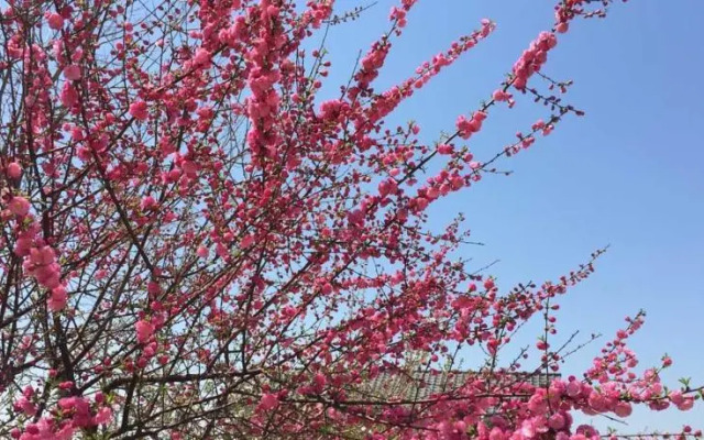 Dalian Beima Resort & Farm