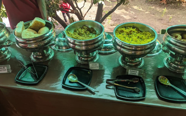 Mango Tree Farm