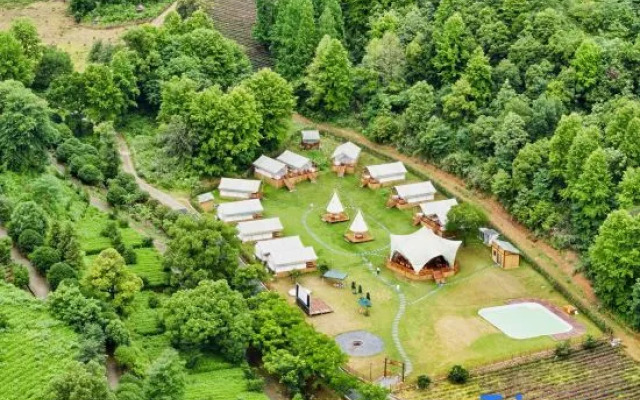 Hengxin Tea House Pine Cone