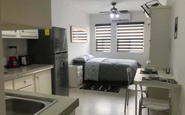Lofts De La Calle Humboldt I