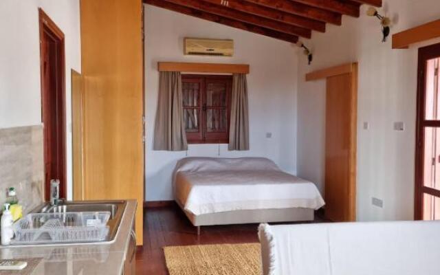 Steni Traditional Studio Apartment