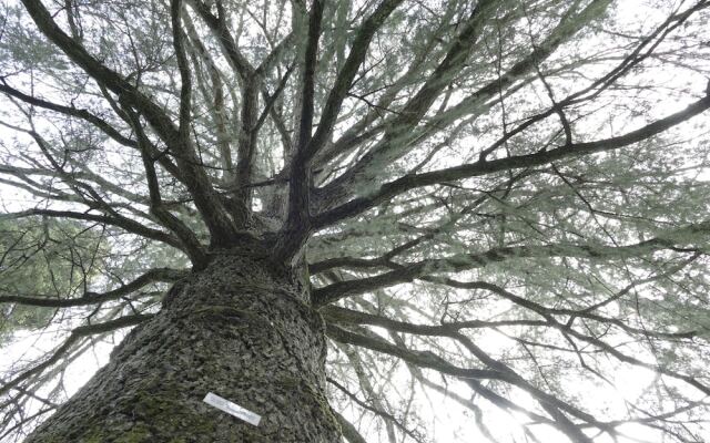 Hotel Rural Villa Onuba