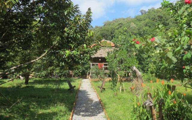 Tree Top Bungalows