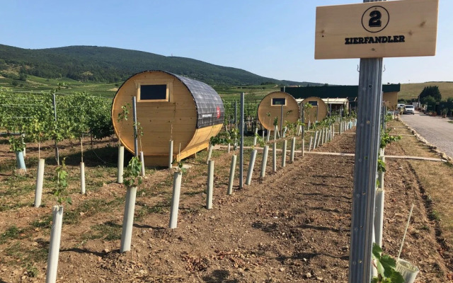 Schlaffass- Schlafen im Weinfass - Campsite