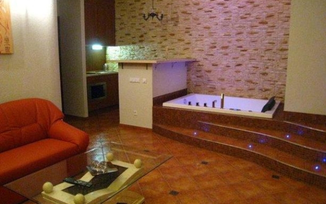 Vip Apartament