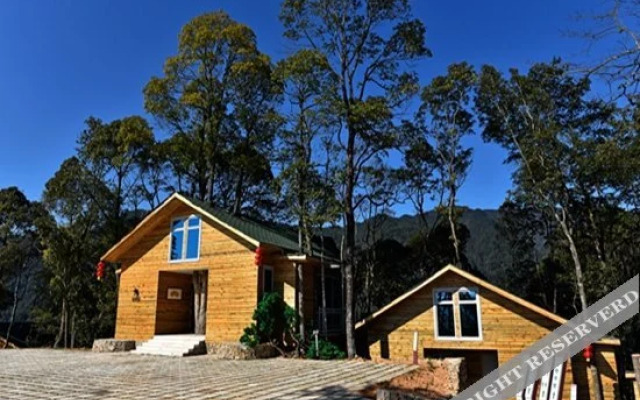 Yinxin'gu Treehouse Hotel