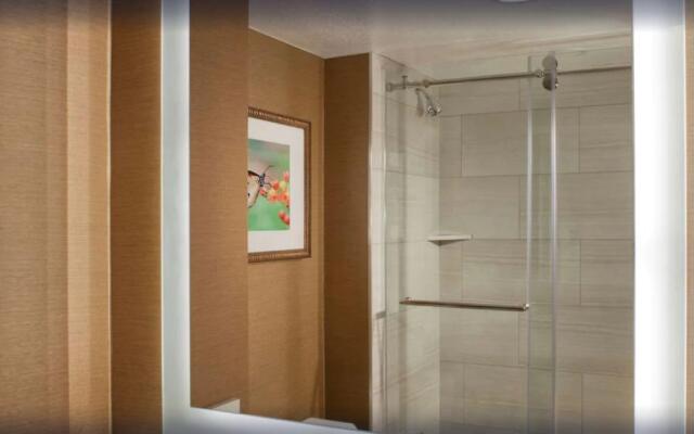 Embassy Suites by Hilton Dallas Near the Galleria
