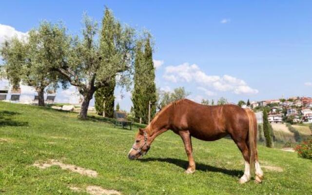 Agriturismo Le Bosche