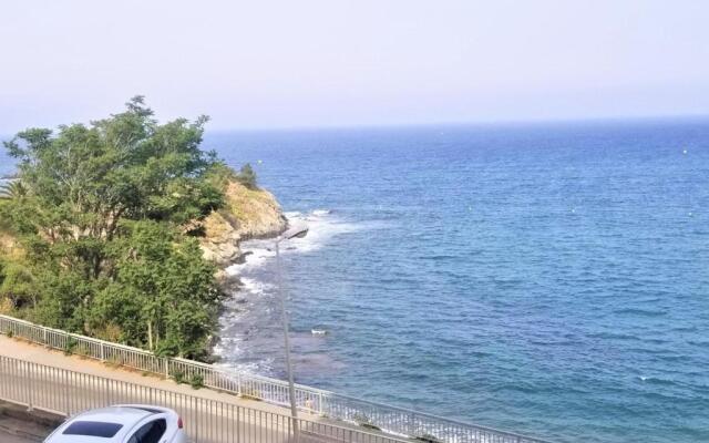 Appartement Banyuls-sur-Mer, 3 pièces, 4 personnes - FR-1-309-281