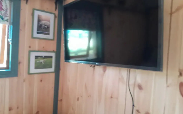 Little Greenwood Shepherd Hut - Sleeps 2