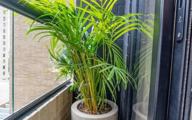 Perfect Loft In Centro Internacional