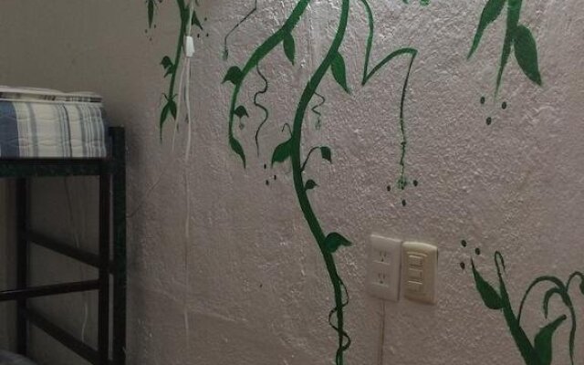 Lobo Inn - Hostel