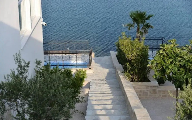 Villa Jasmin Posedarje