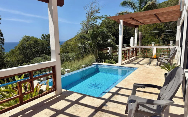 Roatan Infinity Pool & Ocean View