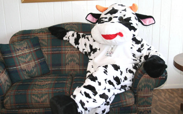 Town and Country Motel