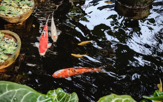 Calma Coliving at Bintaro