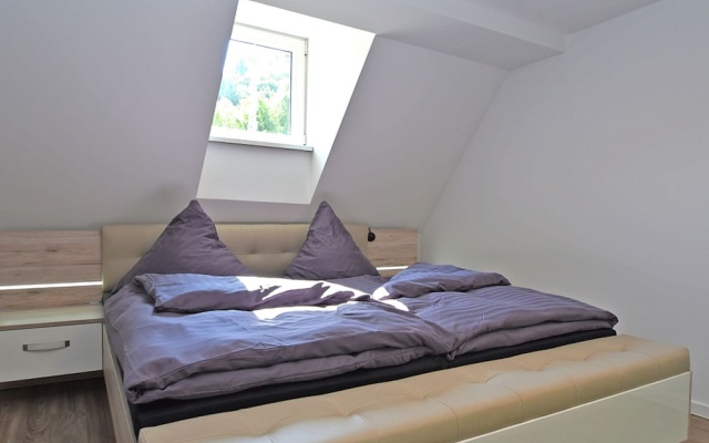 Modern and Lightly-furnished Holiday Home in Harz With Garden and Terrace