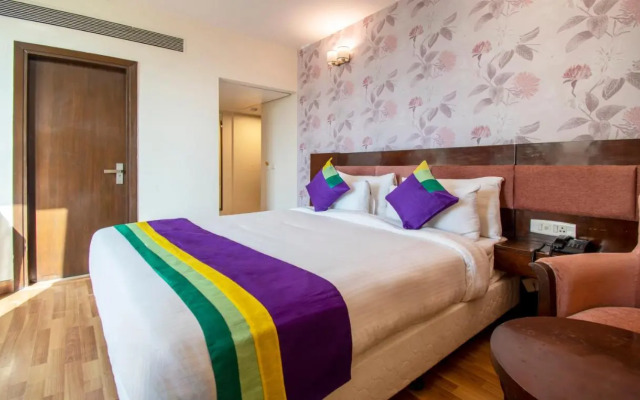 Treebo Premium Rose Mallow